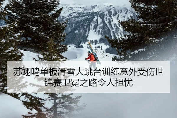 su-yi-ming-dan-ban-hua-xue-da-tiao-tai-xun-lian-yi-wai-shou-shang-shi-jin-sai-wei-mian-zhi-lu-ling-ren-dan-you-2-493.jpg