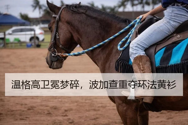 温格高卫冕梦碎，波加查重夺环法黄衫